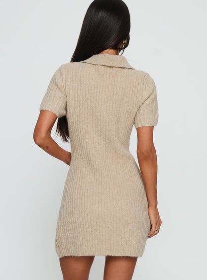 Brynie Knit Mini Dress Oat