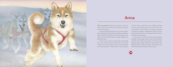 Alaska's Dog Heroes: True Stories of Remarkable Canines