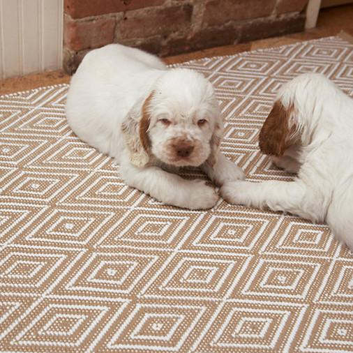 Diamond Indoor/Outdoor Rug