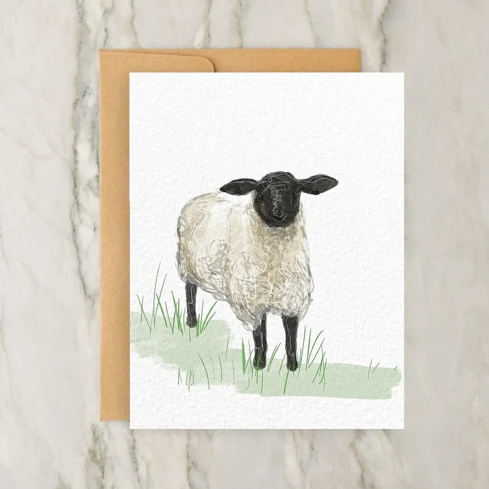 Sheep