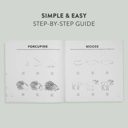 Mushrooms & Woodland Creatures: How to Draw Books for Kids