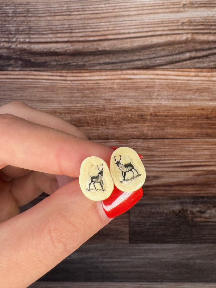 Scrimshaw Studs